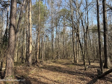 Land for sale in Simpson Countye check out this beautiful +/- 80 - photo 23