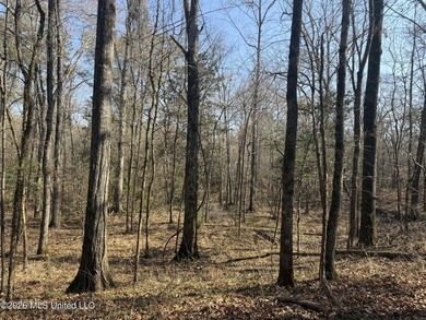 Land for sale in Simpson Countye check out this beautiful +/- 80 - photo 24