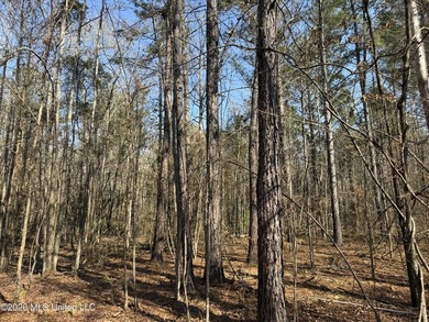 Land for sale in Simpson Countye check out this beautiful +/- 80 - photo 25