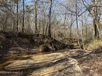 Land for sale in Simpson Countye check out this beautiful +/- 80 - photo 26