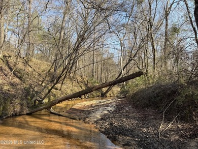 Land for sale in Simpson Countye check out this beautiful +/- 80 - photo 27