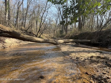 Land for sale in Simpson Countye check out this beautiful +/- 80 - photo 28