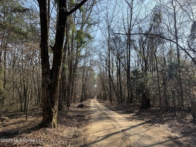 Land for sale in Simpson Countye check out this beautiful +/- 80 - photo 29