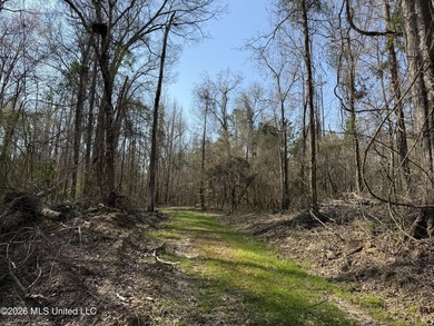 Land for sale in Simpson Countye check out this beautiful +/- 80 - photo 30