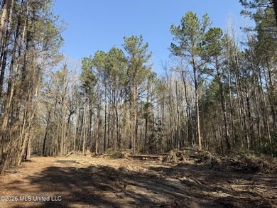 Land for sale in Simpson Countye check out this beautiful +/- 80 - photo 31