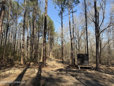 Land for sale in Simpson Countye check out this beautiful +/- 80 - photo 32