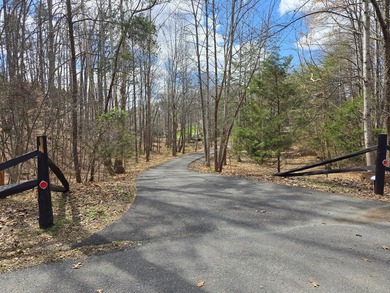 One of a kind log cabin in idyllic park setting on 2 acres, PLUS - photo 2