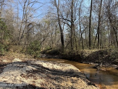 Land for sale in Simpson Countye check out this beautiful +/- 80 - photo 33