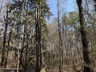 Land for sale in Simpson Countye check out this beautiful +/- 80 - photo 34
