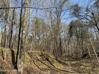 Land for sale in Simpson Countye check out this beautiful +/- 80 - photo 35
