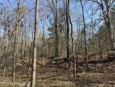 Land for sale in Simpson Countye check out this beautiful +/- 80 - photo 36