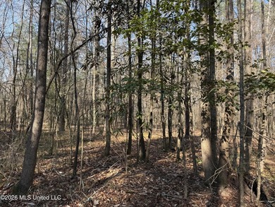 Land for sale in Simpson Countye check out this beautiful +/- 80 - photo 38