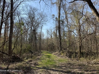 Land for sale in Simpson Countye check out this beautiful +/- 80 - photo 39