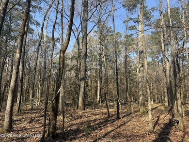 Land for sale in Simpson Countye check out this beautiful +/- 80 - photo 40