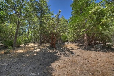 499 Golf Course - photo 47