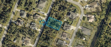 The seller has a survey, septic plan, and floor plan in their - photo 1