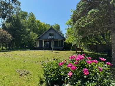 Lake Home For Sale in Curtis, Michigan