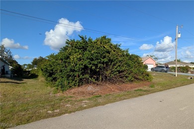 Lehigh Acres Area Lot Sale Pending in Lehigh Acres Florida