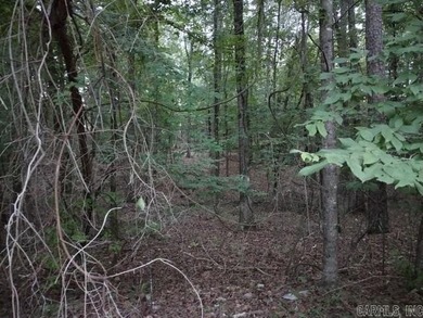 Great location and over 1/2 acre! (Saline County shows 0.70 - photo 2