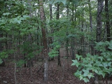 Great location and over 1/2 acre! (Saline County shows 0.70 - photo 3