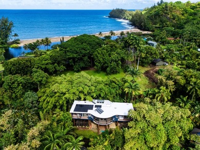 Tucked away in lush Wainiha Valley, this private North Shore - photo 1
