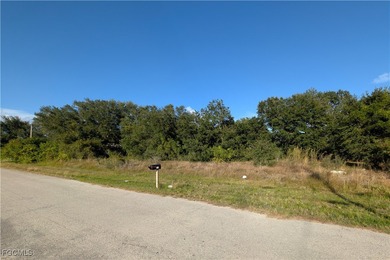 Lehigh Acres Area Lot For Sale in Lehigh Acres Florida