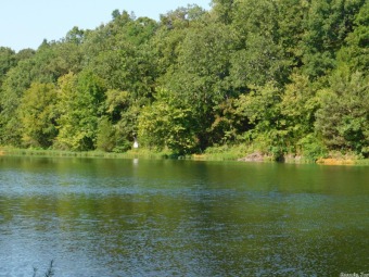 Lake Acreage For Sale in Cherokee Village, Arkansas