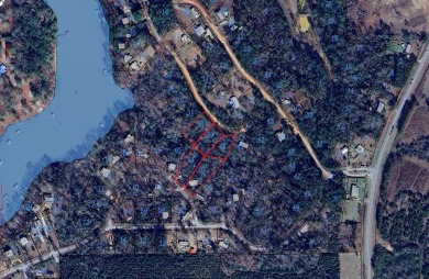 Lake Acreage For Sale in Abbeville, Alabama