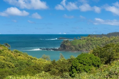 Perched above the turquoise waters of Kalihiwai Bay, this - photo 2