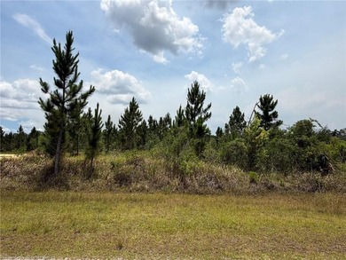 Lake Weohyakapka Lot For Sale in Indian Lake Estates Florida