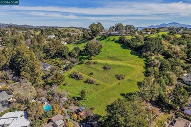 Build your dream estate on this premium 5+ acre lot nestled in - photo 4