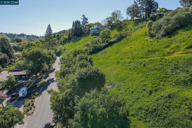 Build your dream estate on this premium 5+ acre lot nestled in - photo 7