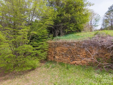 Exceptional building opportunity in a prime North Asheville - photo 13