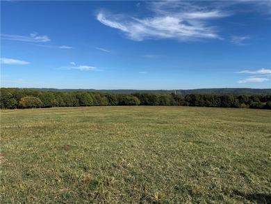 Fabulous property in south Washington County. Property consists - photo 10