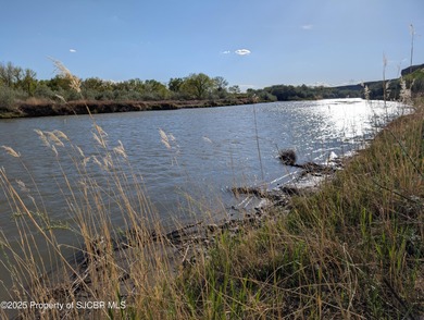 San Juan River Acreage For Sale in Farmington New Mexico