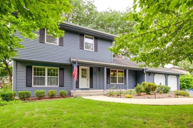 Lake Home For Sale in Third Lake, Illinois