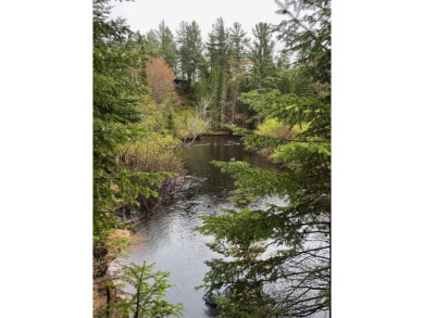 Lake Acreage For Sale in Newberry, Michigan