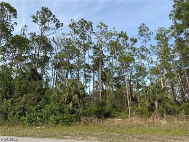 1/2 acre lot in charming neighborhood. Lots of pine trees - photo 1