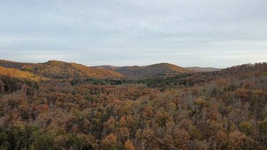 (private lake, pond, creek) Acreage For Sale in Ritner Kentucky