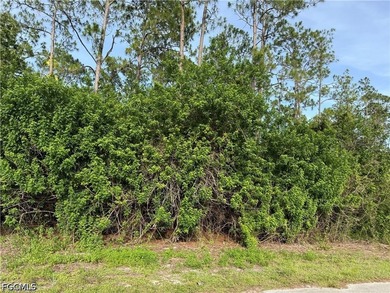 1/2 acre lot in charming neighborhood. Lots of pine trees - photo 2