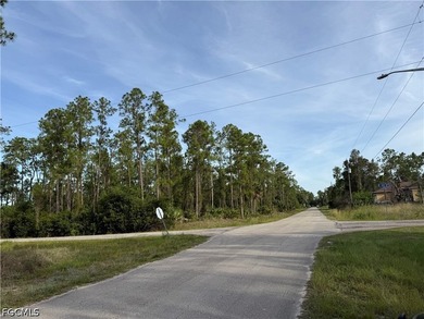 1/2 acre lot in charming neighborhood. Lots of pine trees - photo 3
