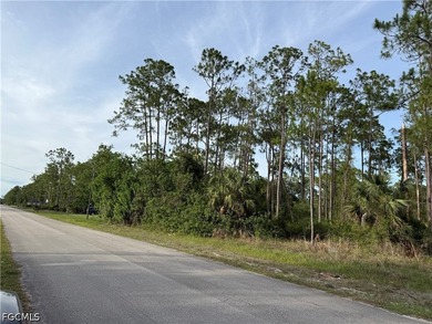 1/2 acre lot in charming neighborhood. Lots of pine trees - photo 4