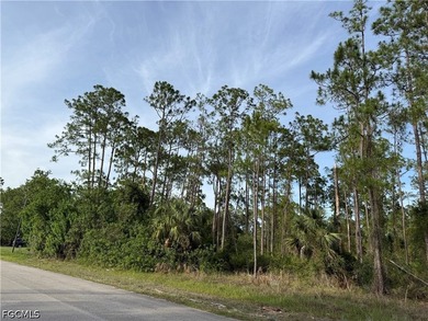 1/2 acre lot in charming neighborhood. Lots of pine trees - photo 5