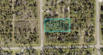 1/2 acre lot in charming neighborhood. Lots of pine trees - photo 6