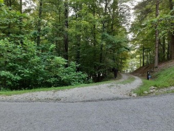 Acreage Across the Street from Norris Lake - Lake Acreage For Sale in La Follette, Tennessee