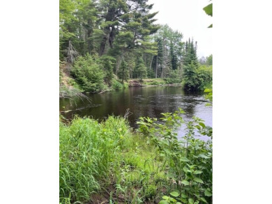 Lake Acreage For Sale in Newberry, Michigan