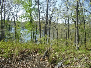 Nice Lake View Building Lot. Utilities above and below the Lot - photo 12