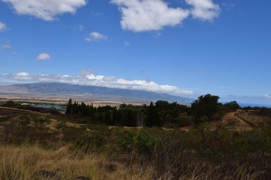 Enjoy expansive bi-coastal ocean and mountain views from this 8 - photo 12