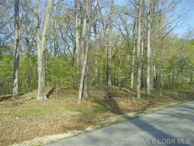 Nice Lake View Building Lot. Utilities above and below the Lot - photo 13