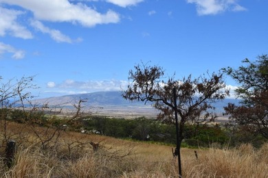 Enjoy expansive bi-coastal ocean and mountain views from this 8 - photo 16